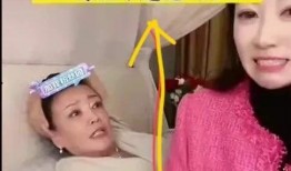 张兰爆料保姆视频大全最新,揭秘家政服务行业隐秘面纱